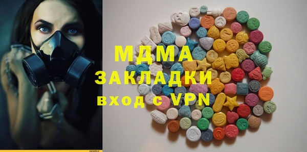 гашик Алексин
