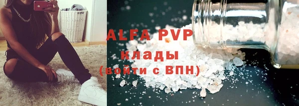 гашик Алексин
