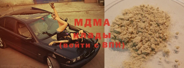 гашик Алексин