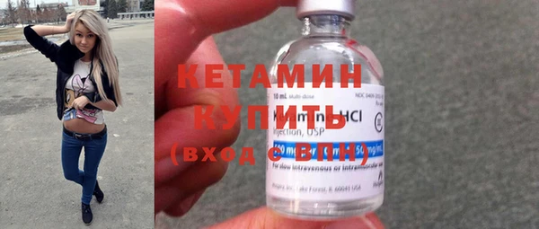 гашик Алексин