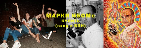 гашик Алексин