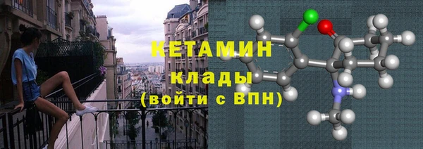 гашик Алексин