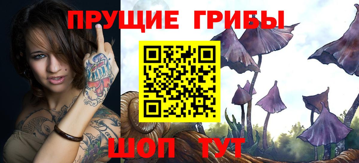 Псилоцибиновые грибы GOLDEN TEACHER Подольск