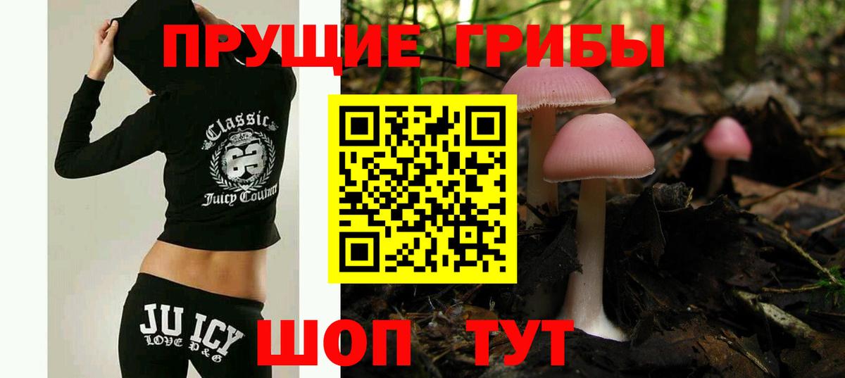 Подольск  Галлюциногенные грибы прущие грибы  где продают наркотики  Вход с VPN 